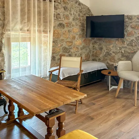 In Zgaljici *
